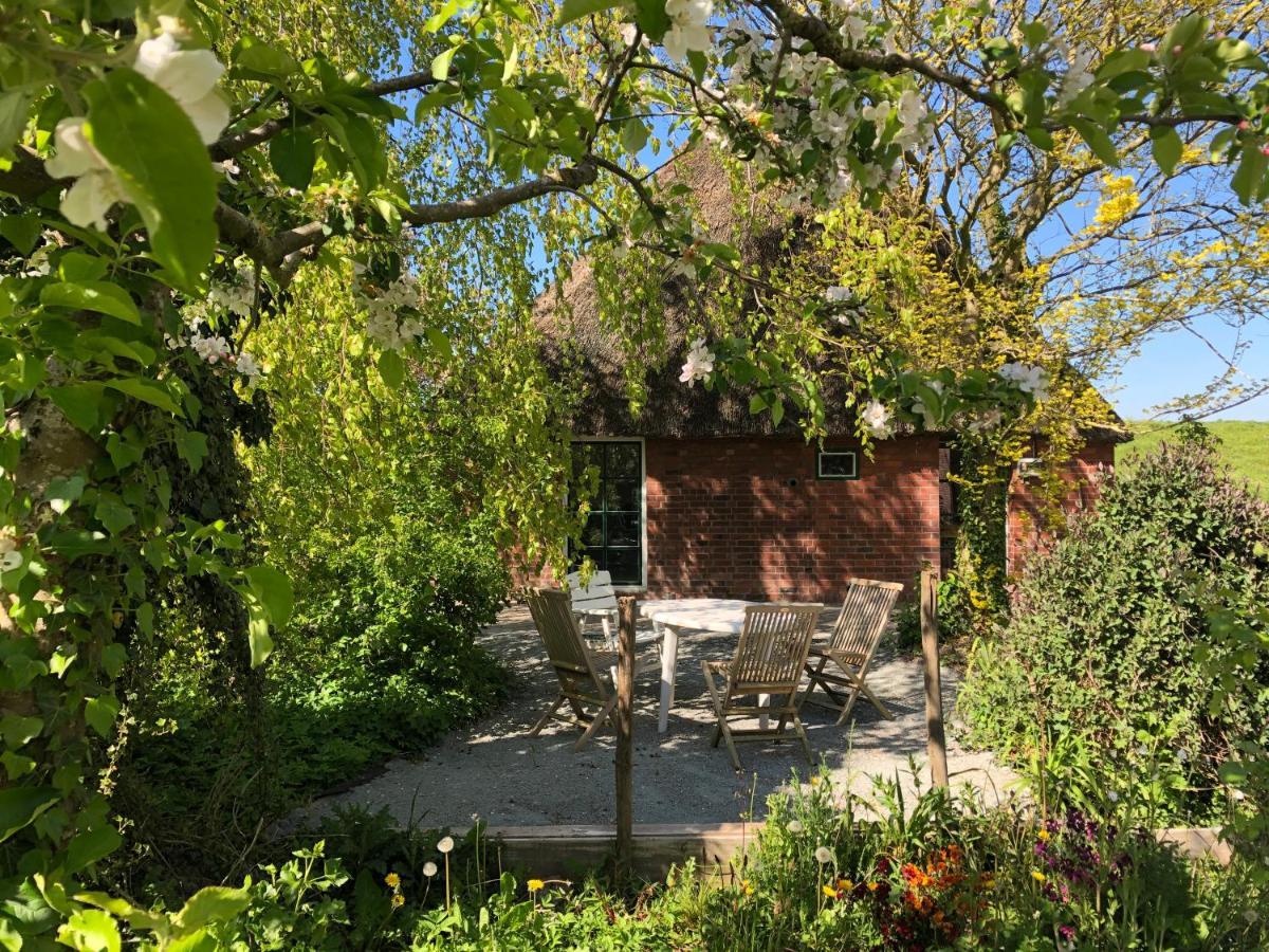 Haus Kaethe Am Deich Villa Balje Exterior photo
